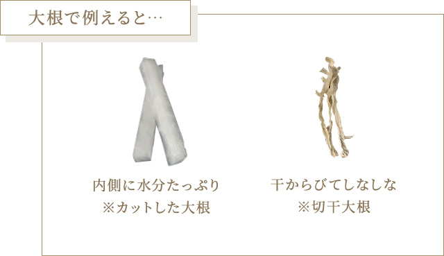 大根で例えると…