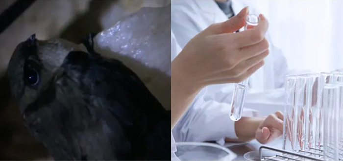 大学との共同研究