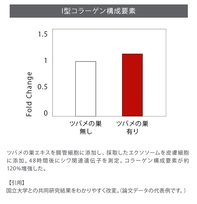 I型コラーゲン構成要素