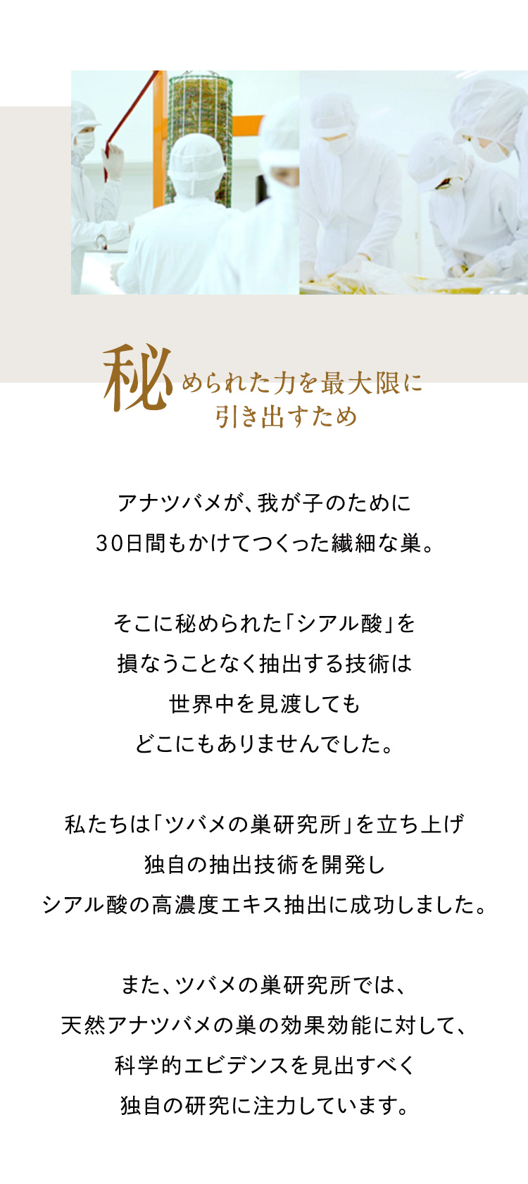 秘められた力を最大限に引き出すため