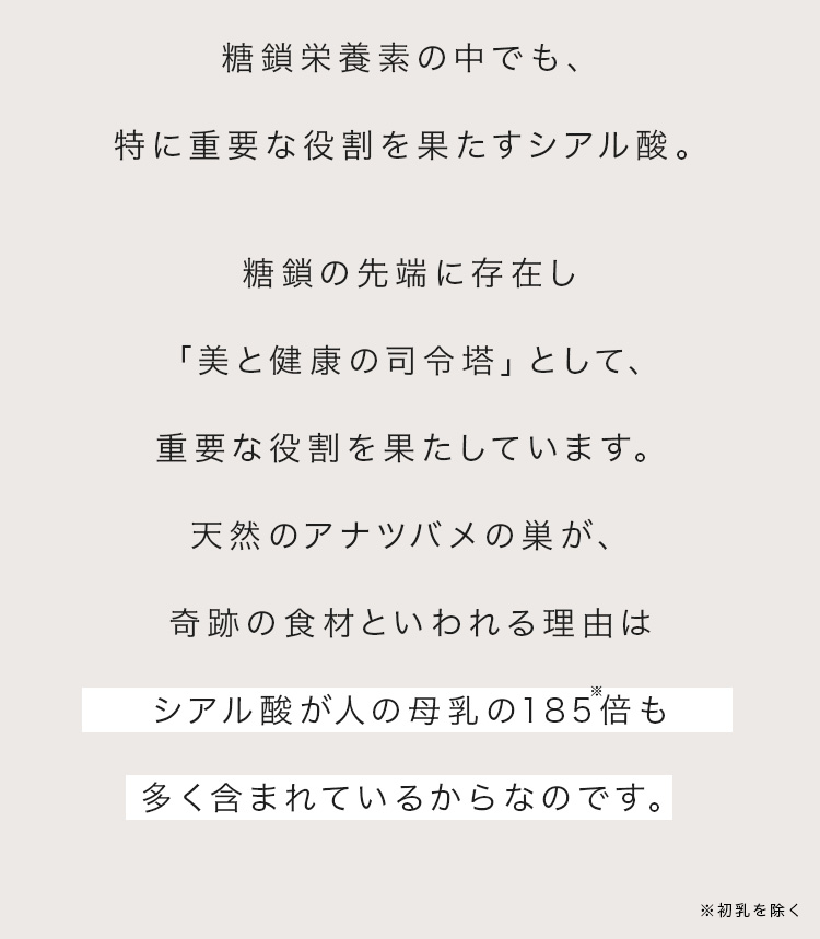 cranberry クランベリ