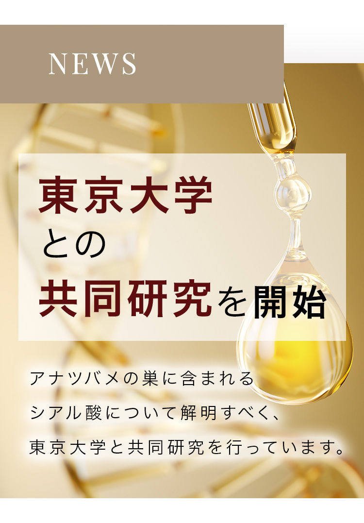 cranberry クランベリ