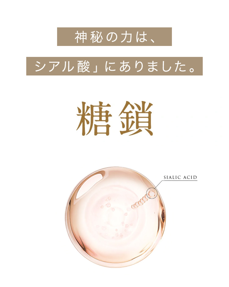 cranberry クランベリ