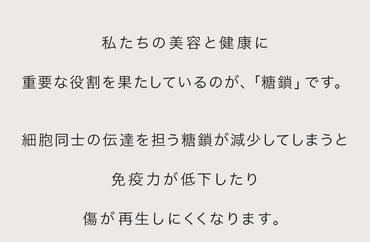 cranberry クランベリ