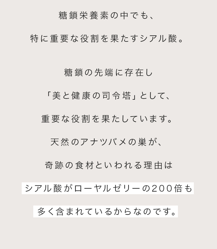 cranberry クランベリ