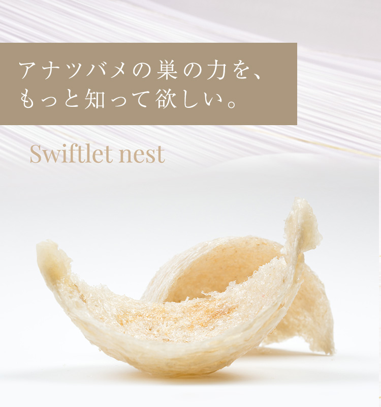 cranberry クランベリ