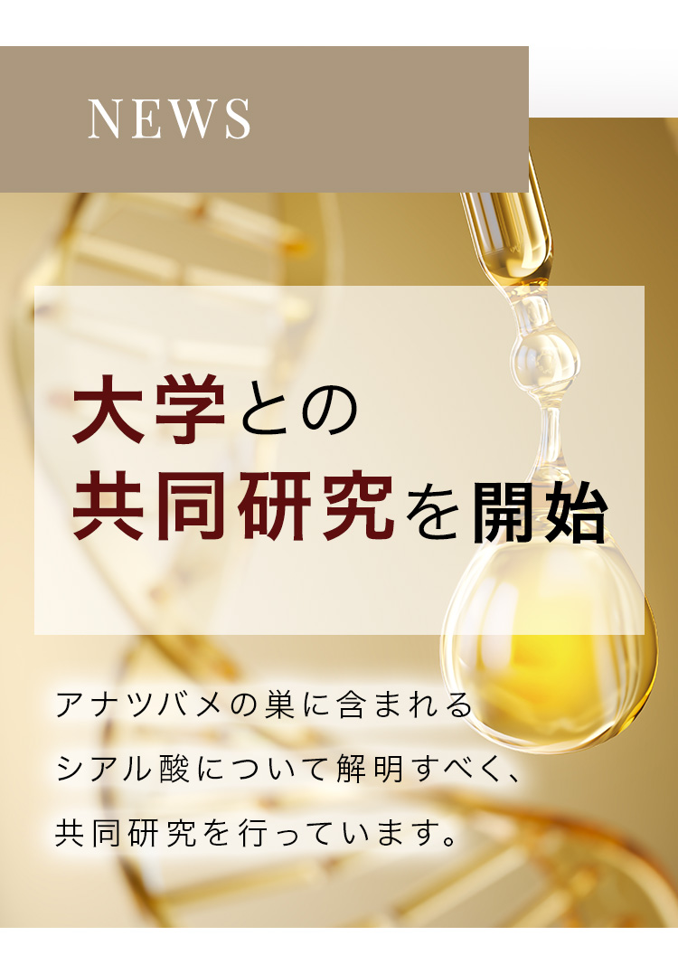 cranberry クランベリ