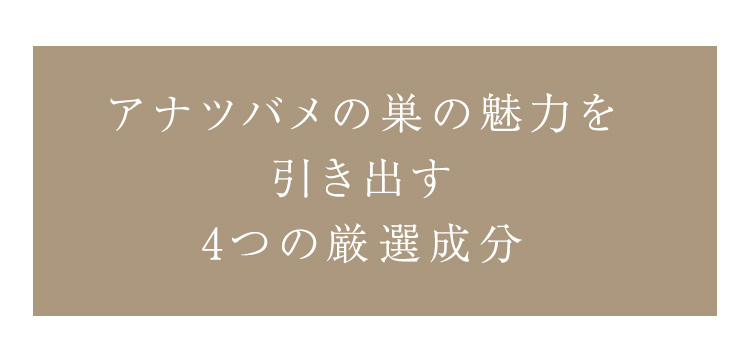 cranberry クランベリ