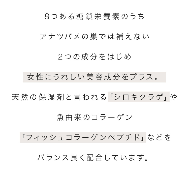 cranberry クランベリ