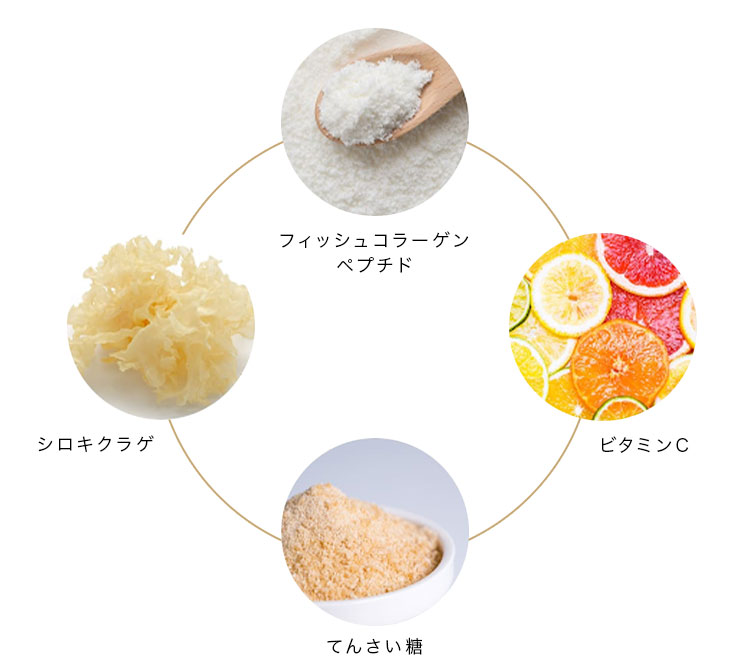 cranberry クランベリ