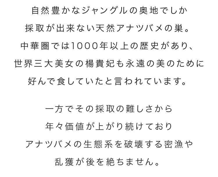 cranberry クランベリ