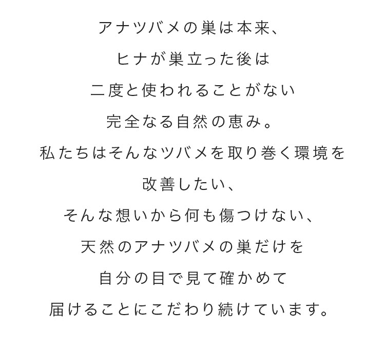 cranberry クランベリ