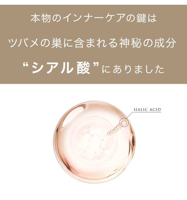 cranberry クランベリ