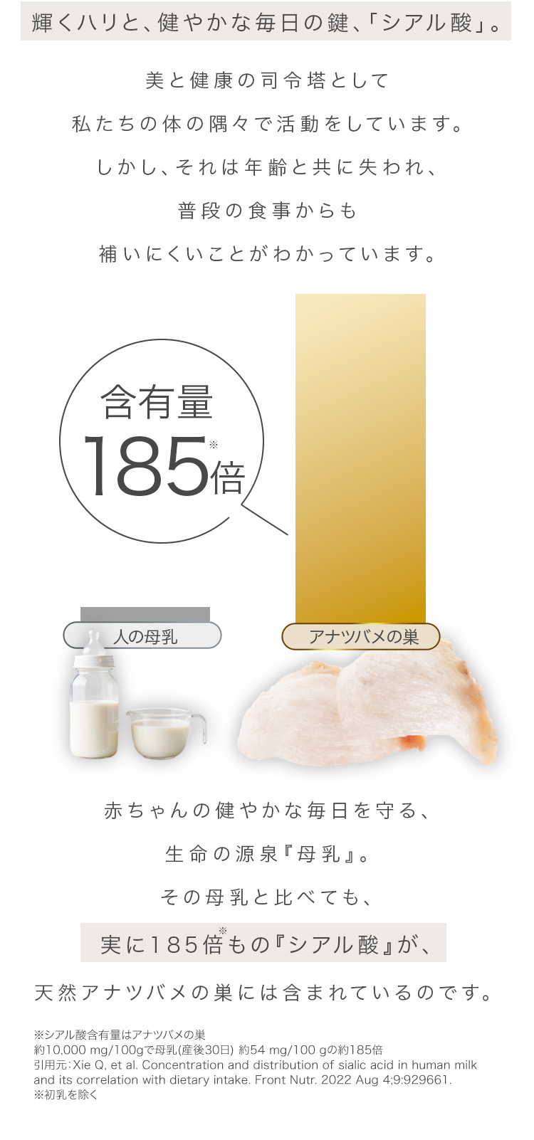 cranberry クランベリ