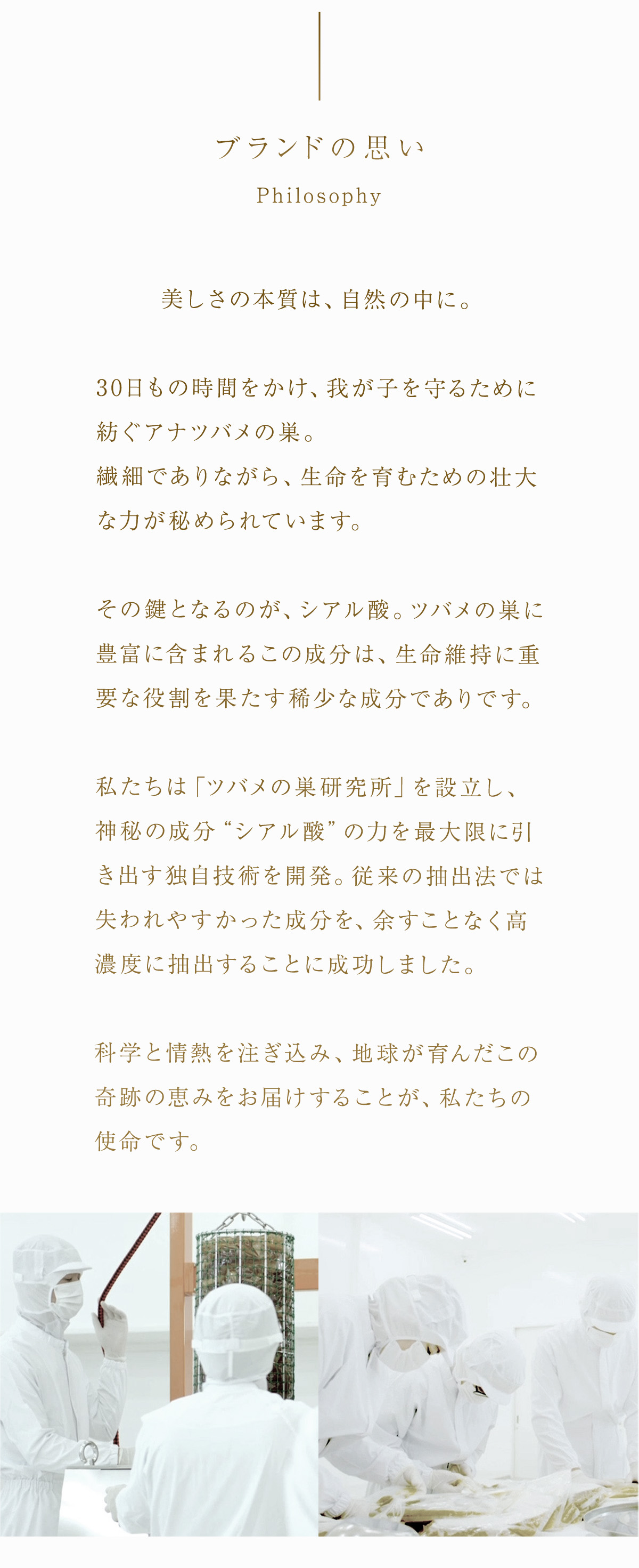 WebPの画像