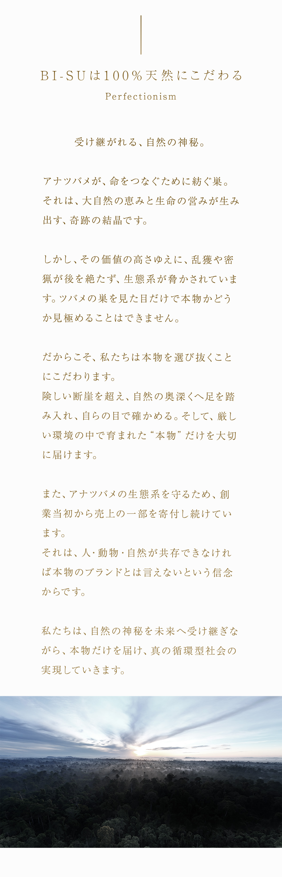 WebPの画像