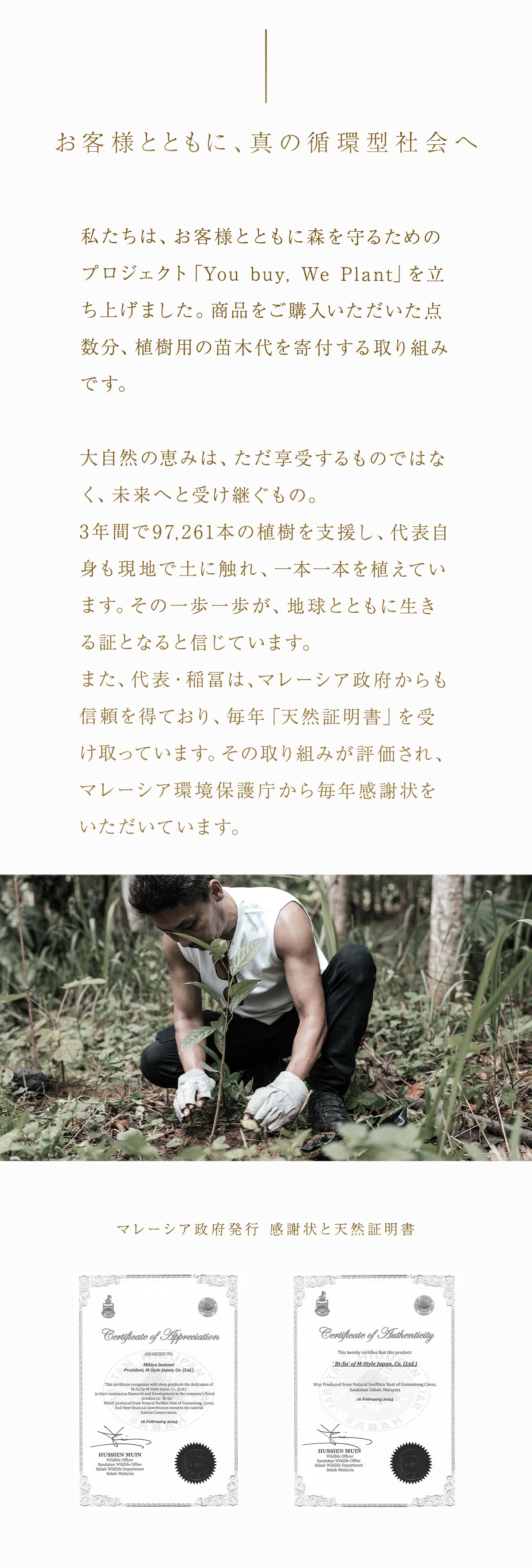 WebPの画像