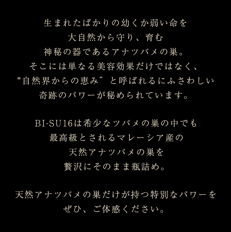WebPの画像