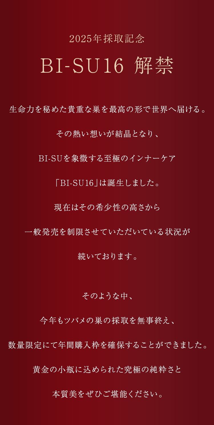 WebPの画像