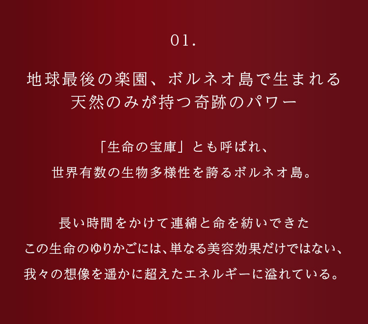 WebPの画像