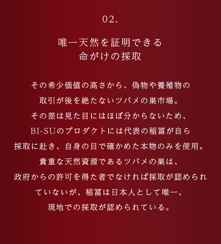 WebPの画像
