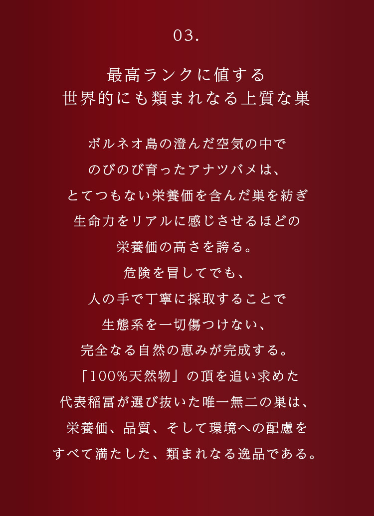 WebPの画像