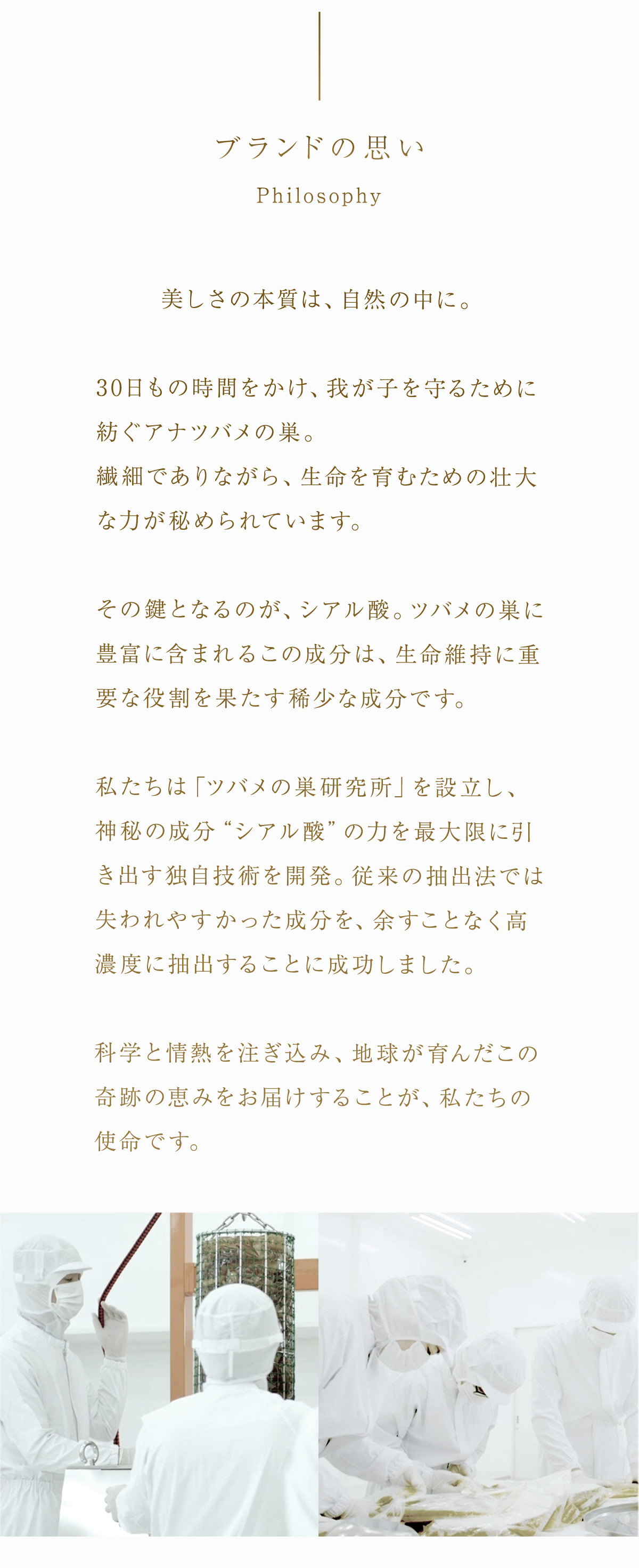 WebPの画像