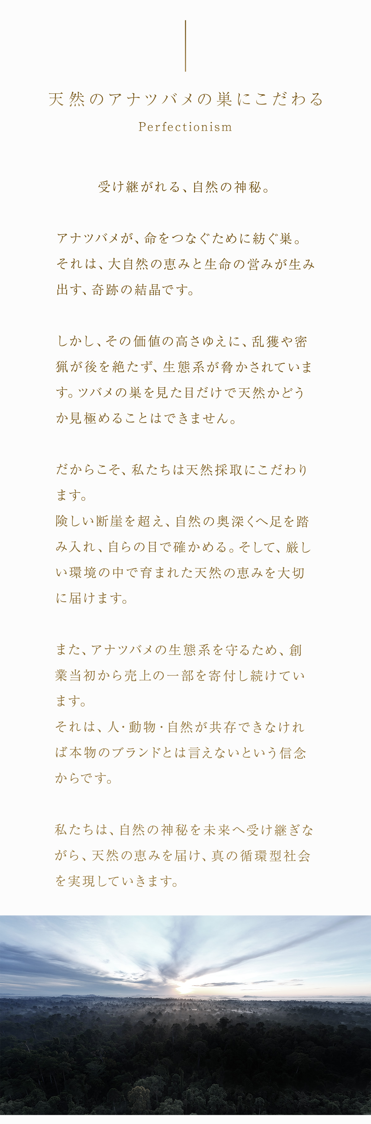 WebPの画像