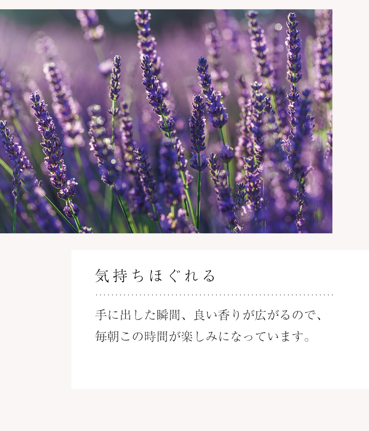 WebPの画像