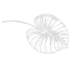 WebPの画像