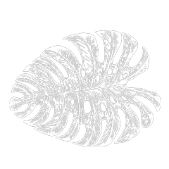 WebPの画像