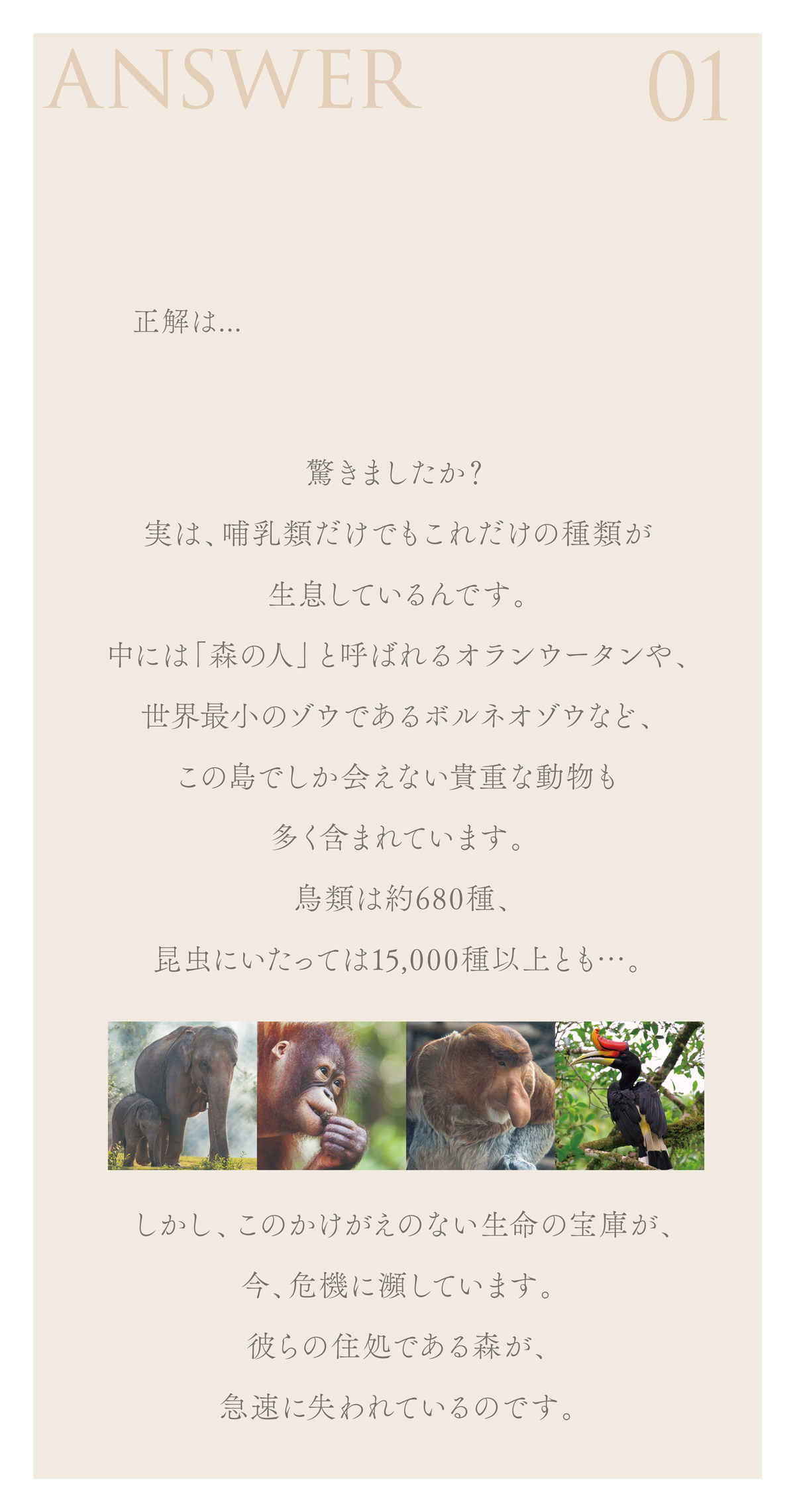 WebPの画像