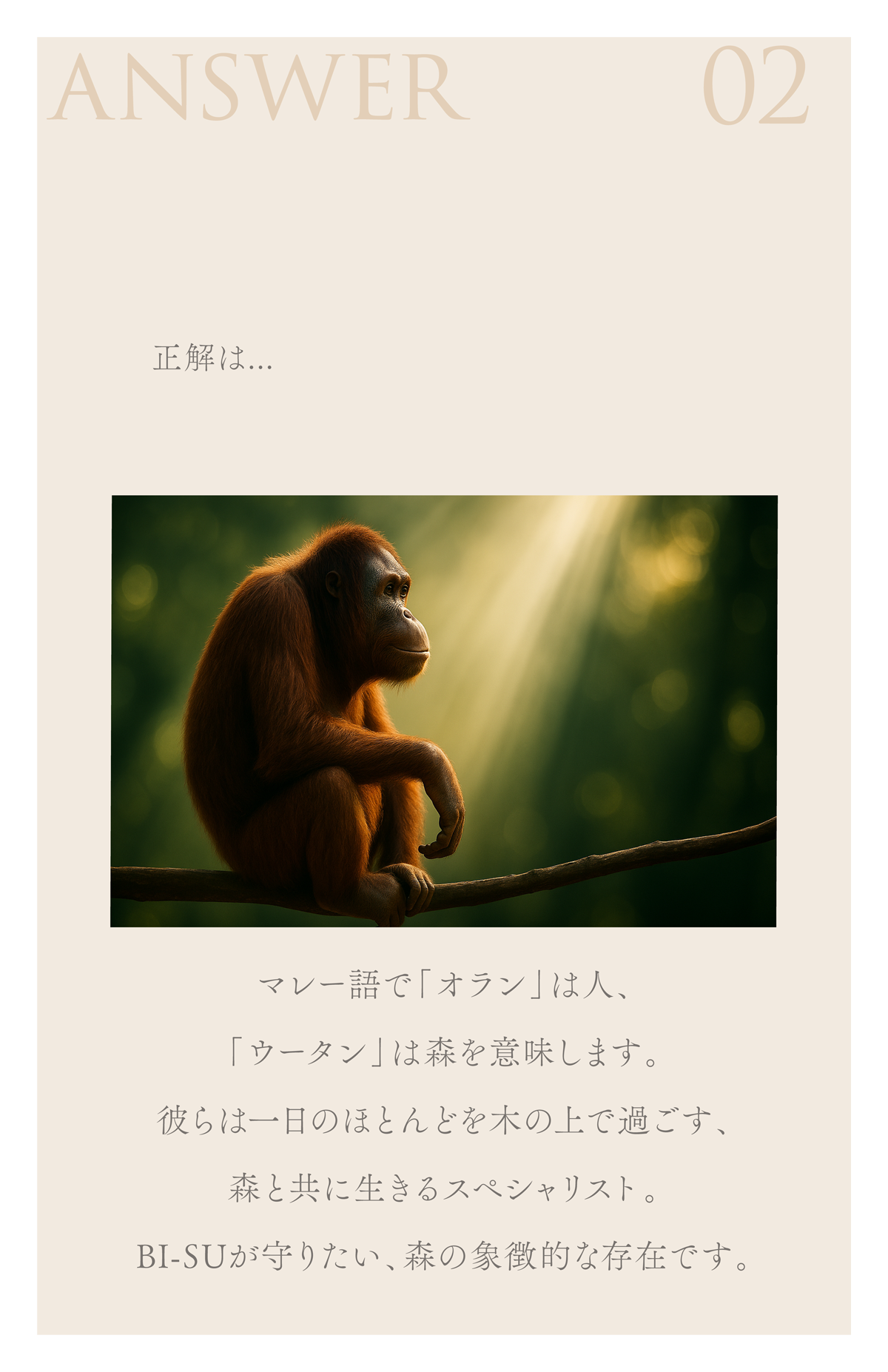WebPの画像