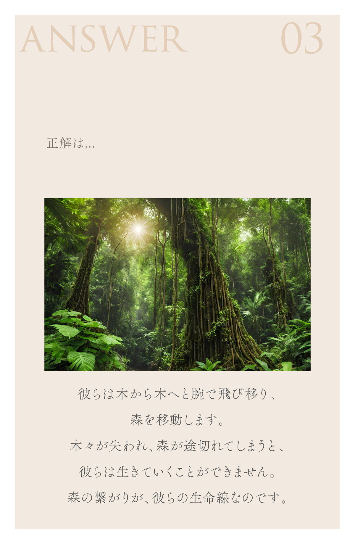 WebPの画像