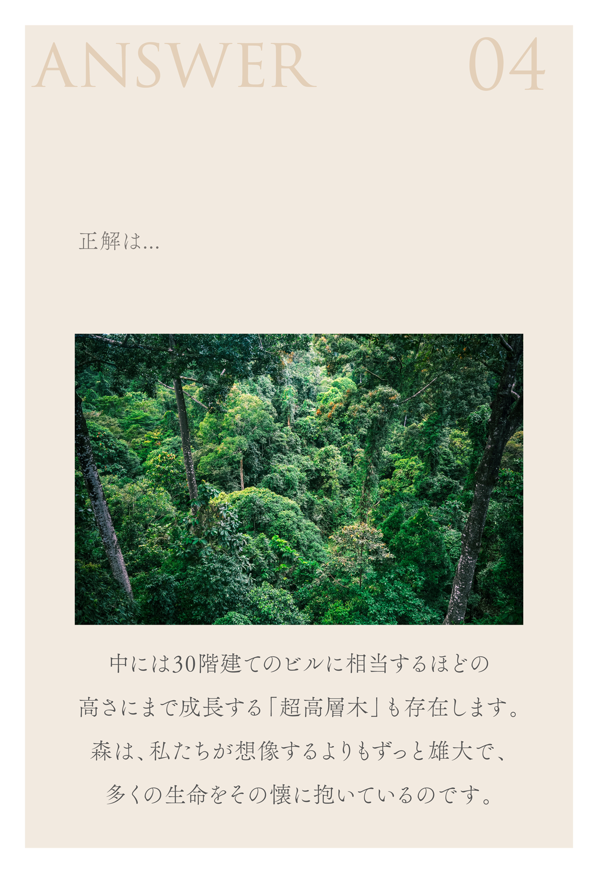 WebPの画像