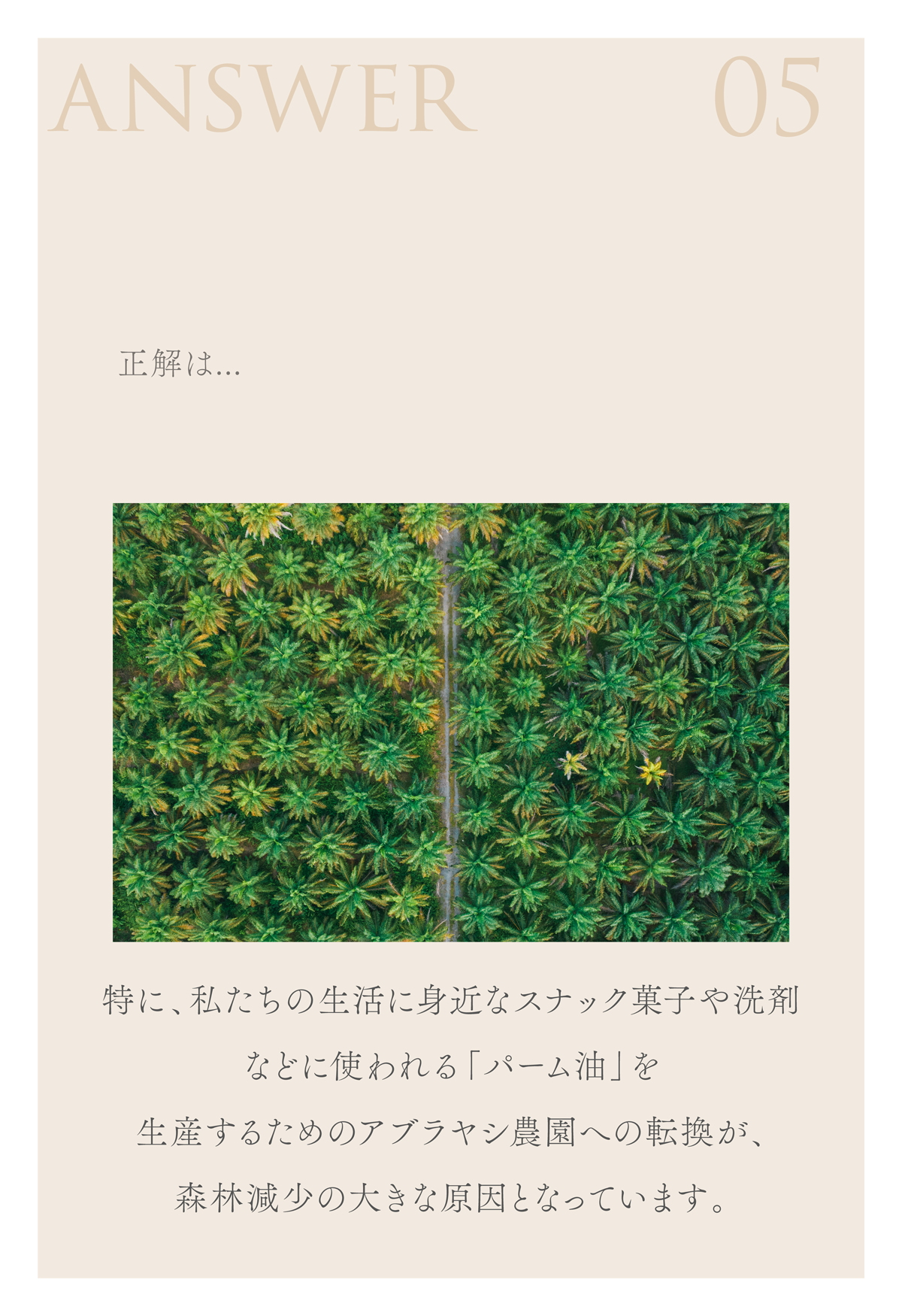 WebPの画像