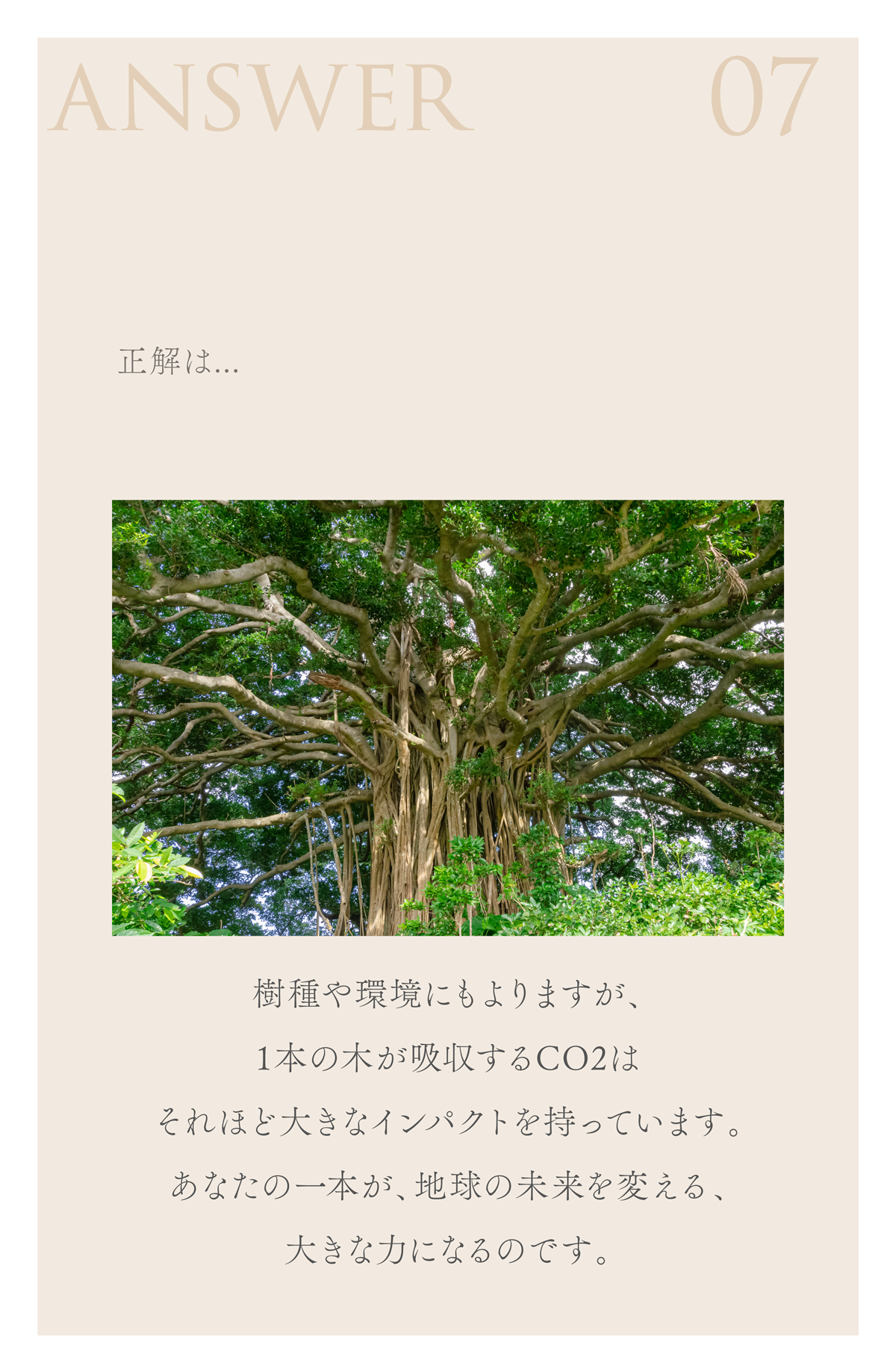 WebPの画像