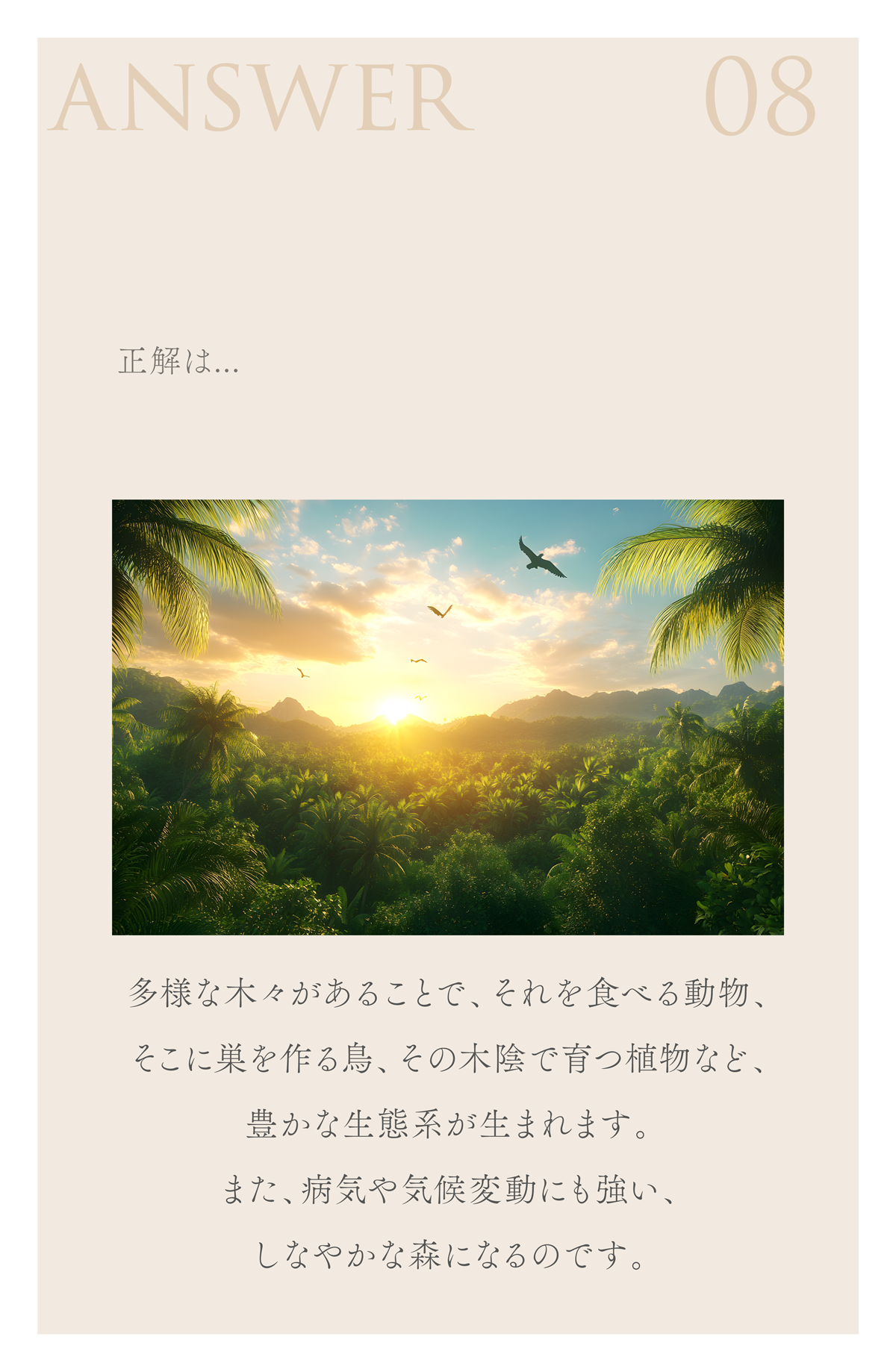 WebPの画像