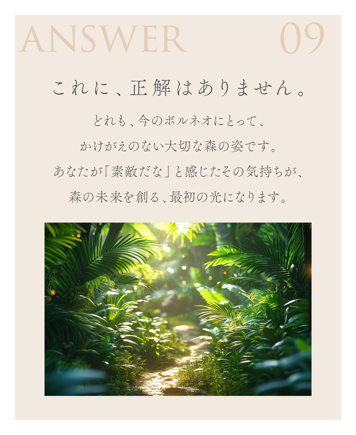 WebPの画像
