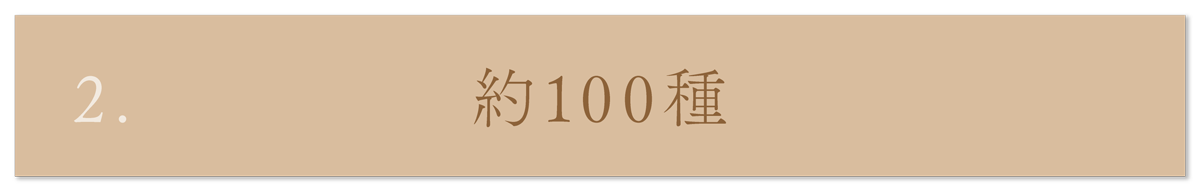 WebPの画像
