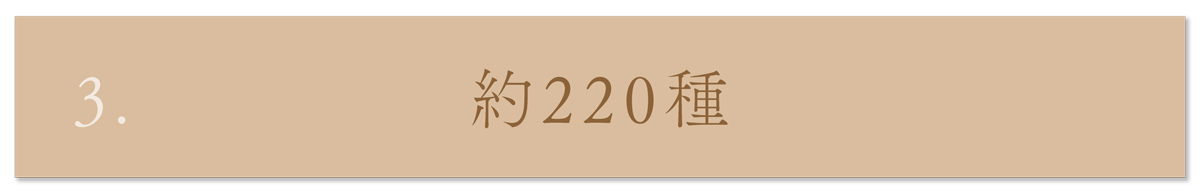 WebPの画像