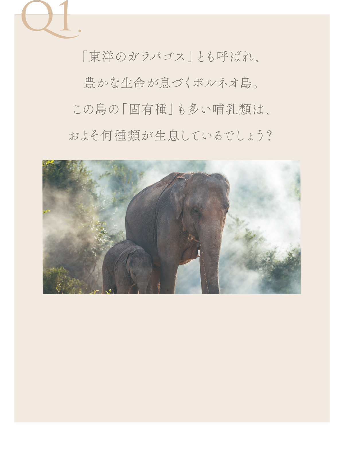 WebPの画像