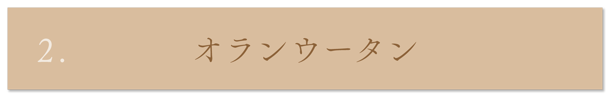 WebPの画像