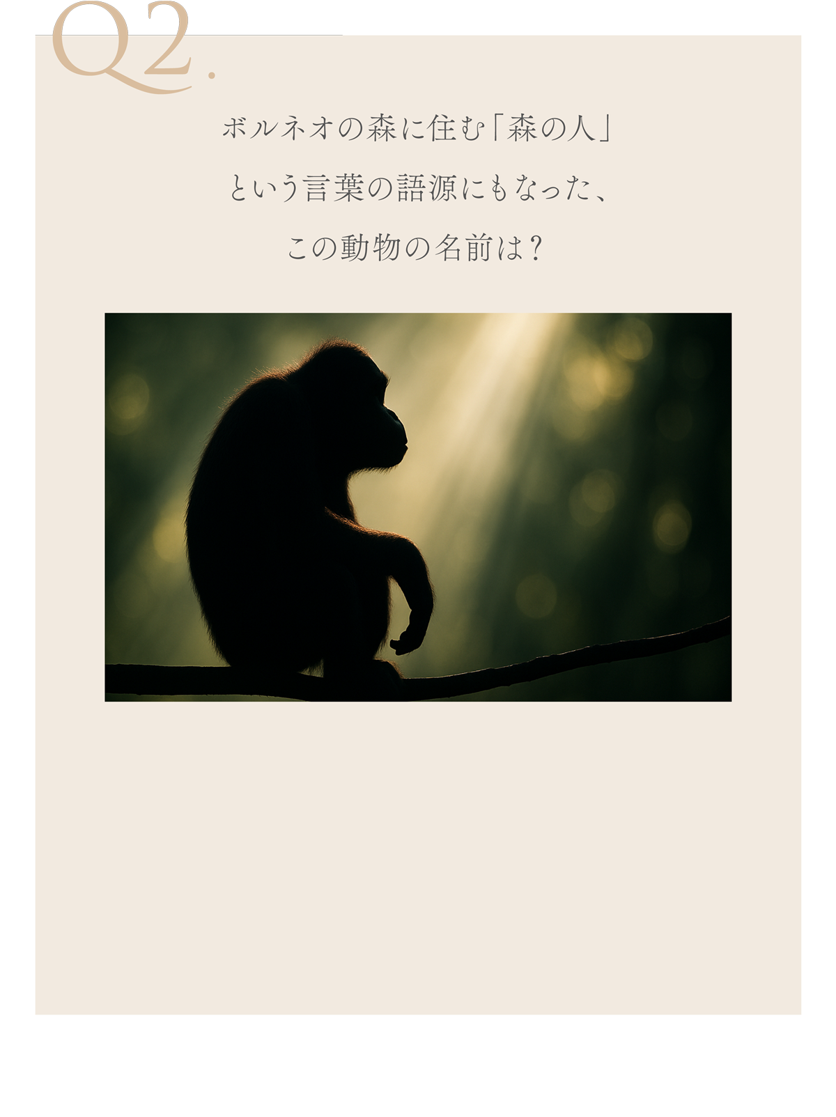 WebPの画像