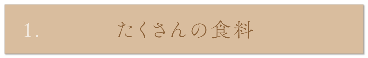 WebPの画像