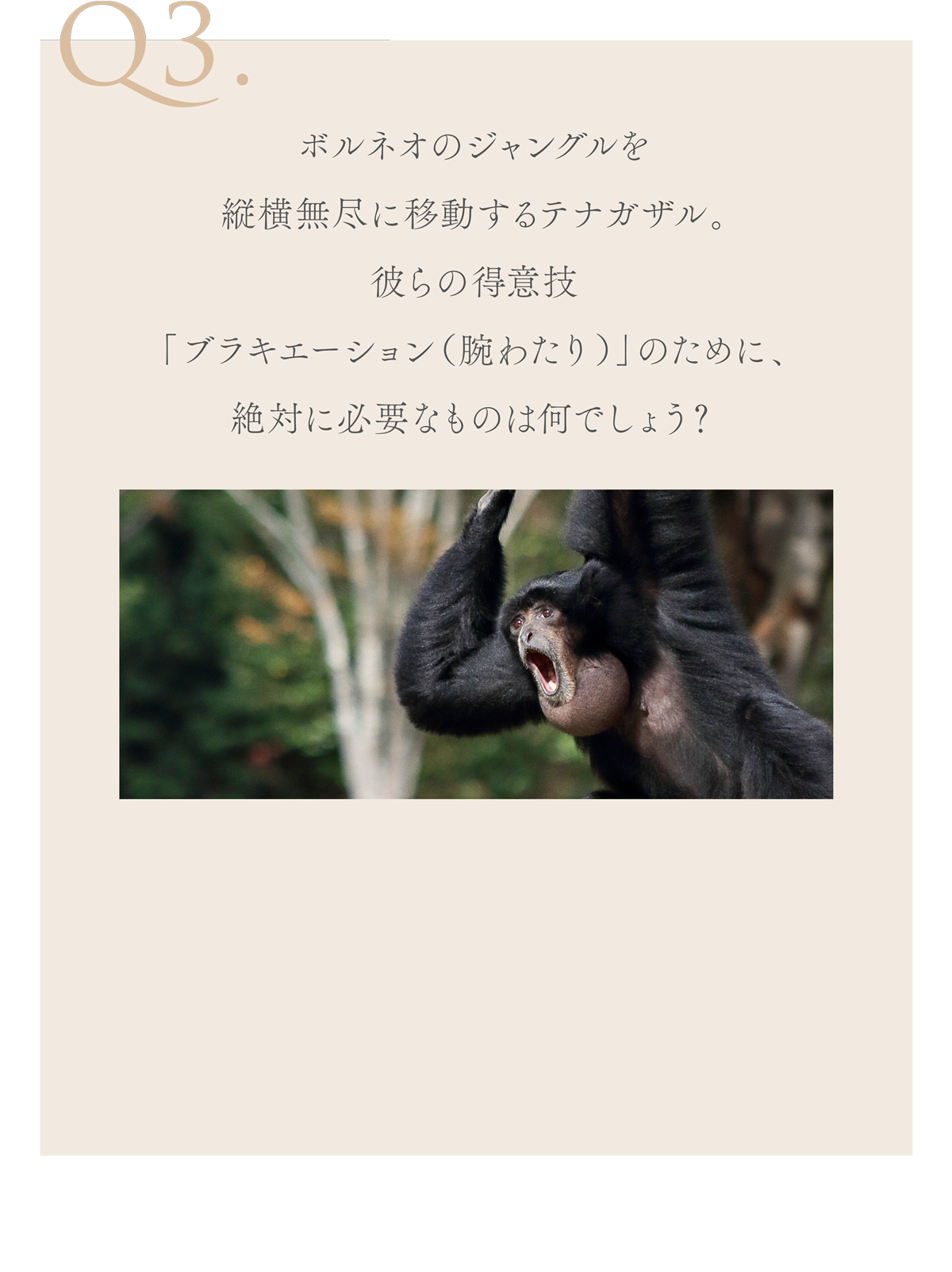 WebPの画像