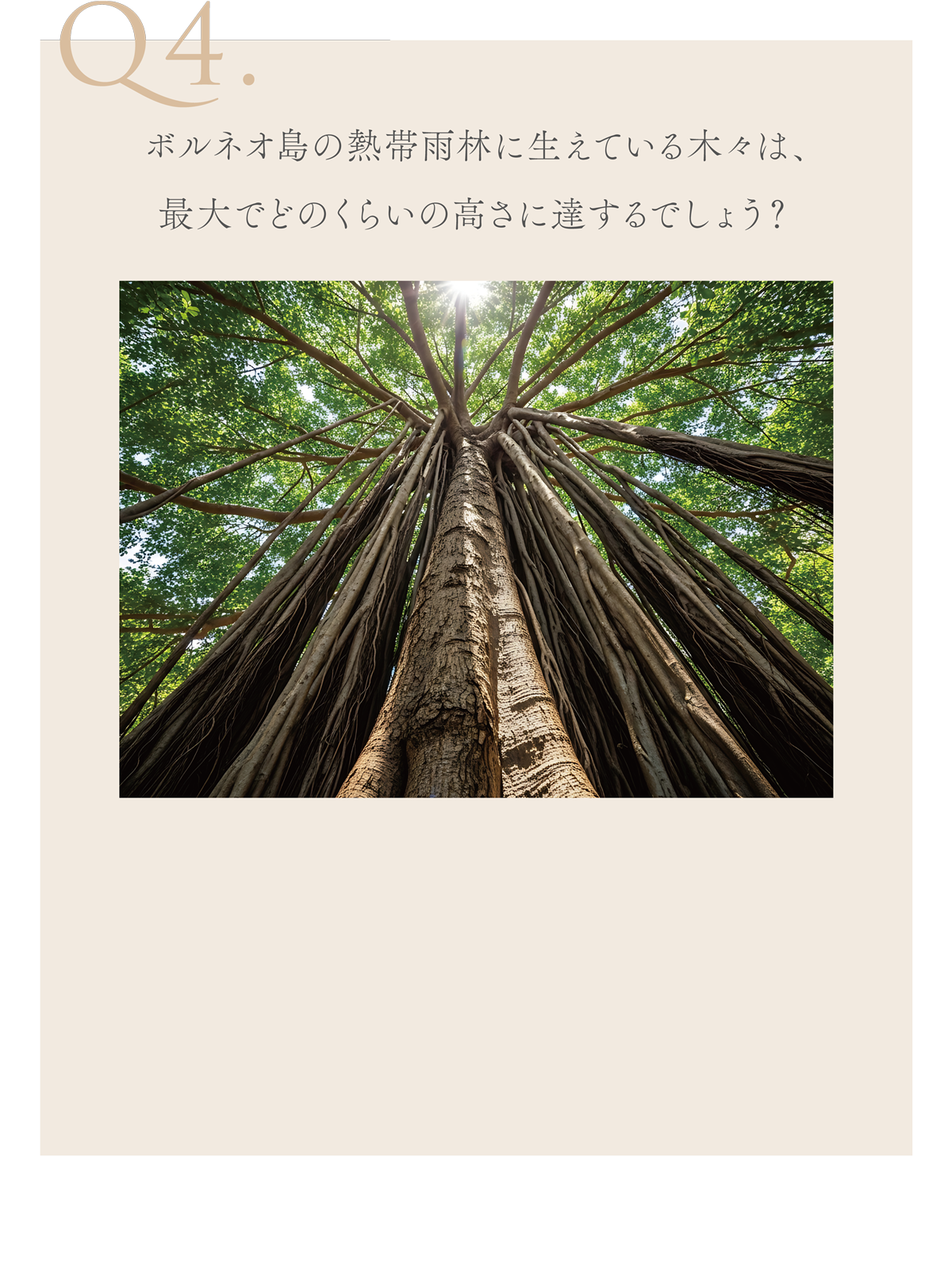 WebPの画像