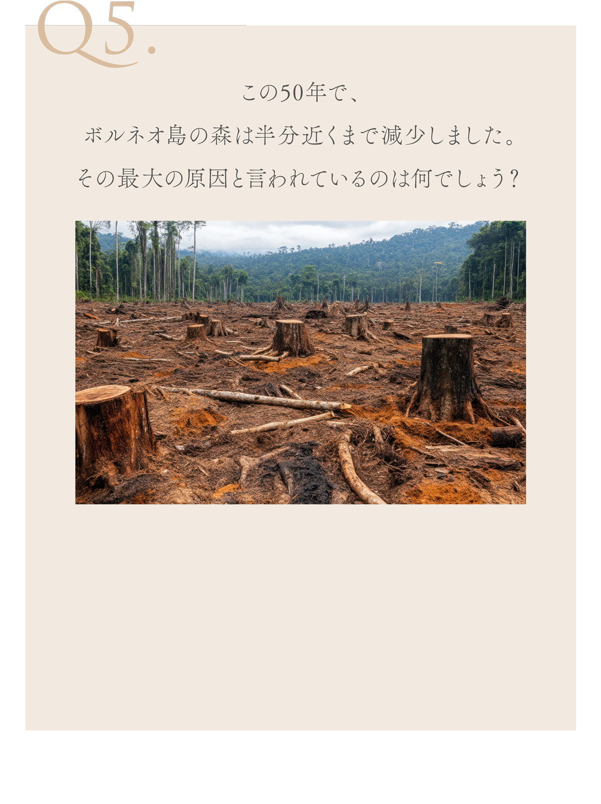 WebPの画像
