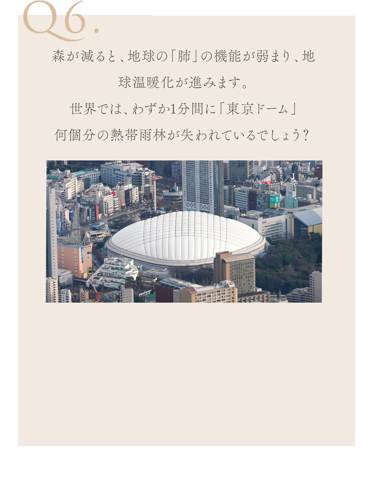 WebPの画像