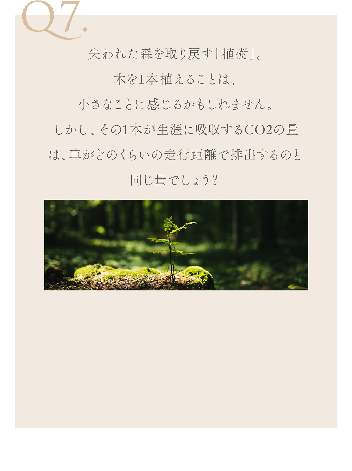 WebPの画像